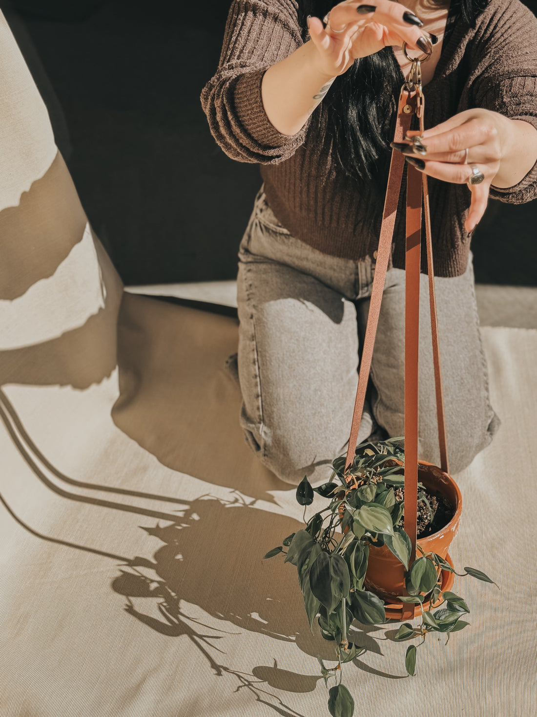 How to Hang Trailing Plants Without Damaging the Vines