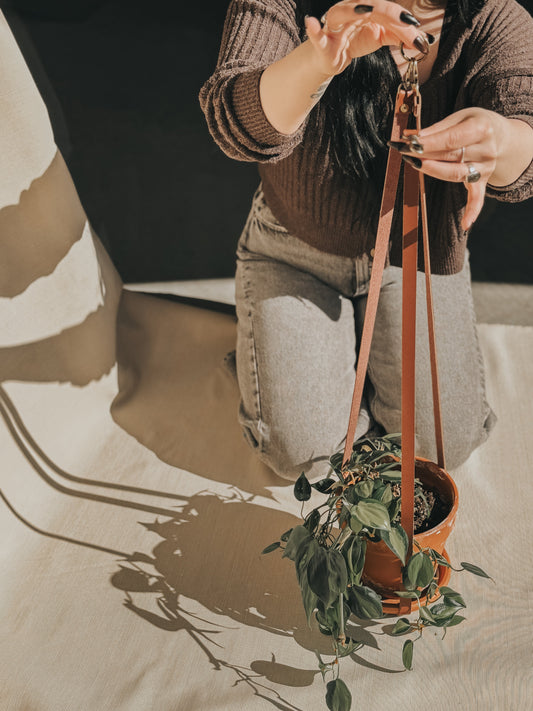 How to Hang Trailing Plants Without Damaging the Vines