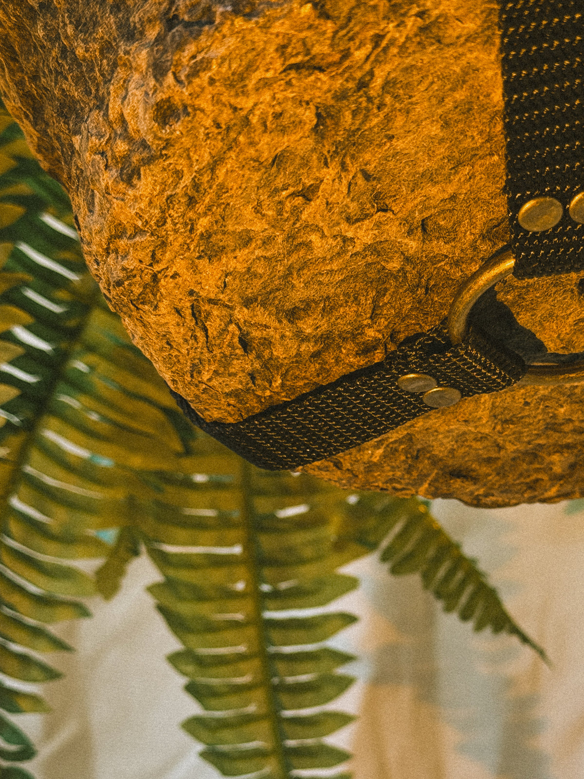 The Original | Black + Brass